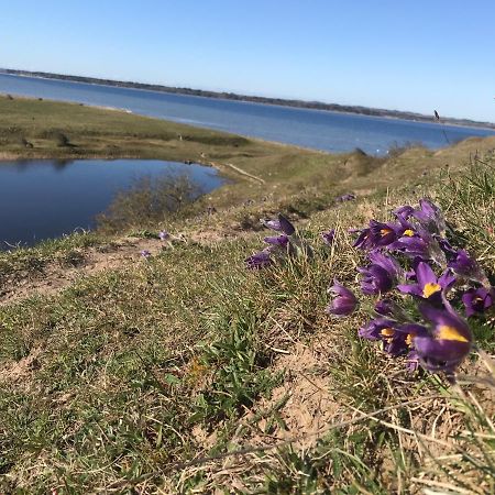 Porshus Ferielejlighed Sundstrup Zewnętrze zdjęcie